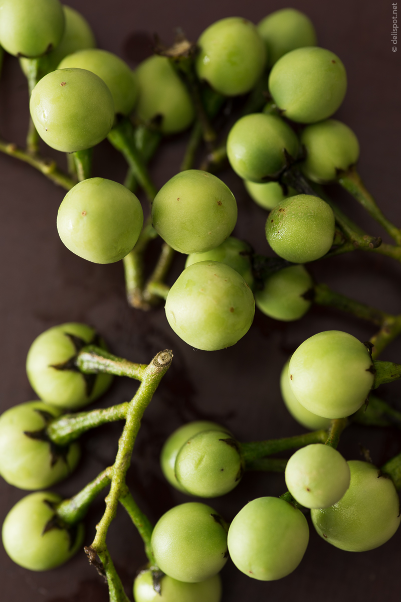 Auberginen der Sorte Thornless Devil’s Fig