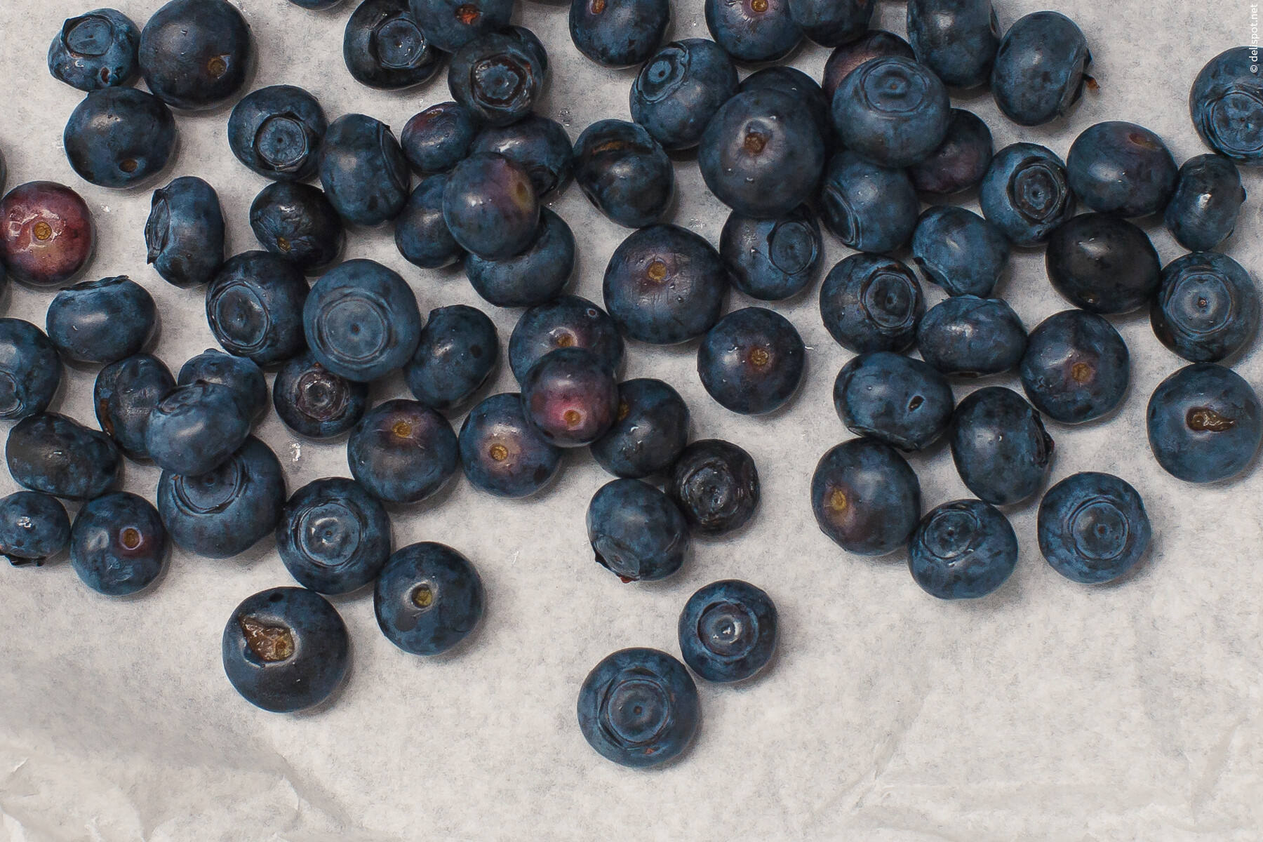 Obst: Heidelbeeren, Blaubeeren oder Schwarzbeeren
