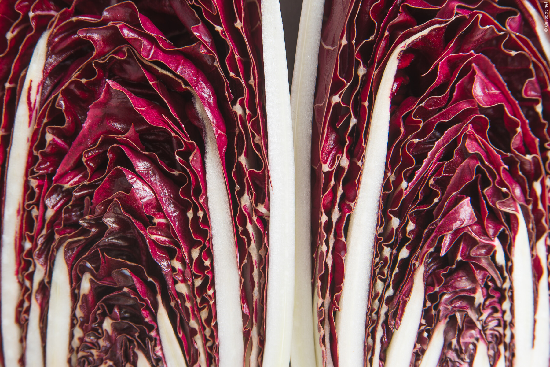 Radicchio, Rosso di Verona