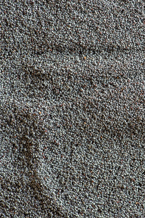 Mohn, genauer Blaumohn, ungemahlen