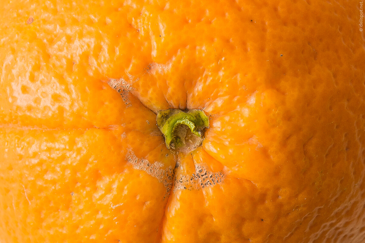 Orange, Detail