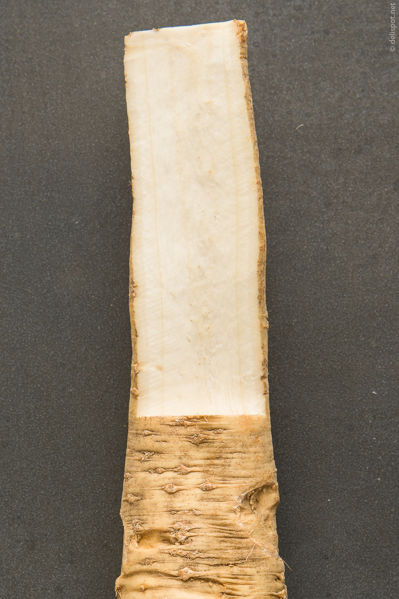 Meerettich (Kren) aus der Steiermark, Wurzel angeschnitten