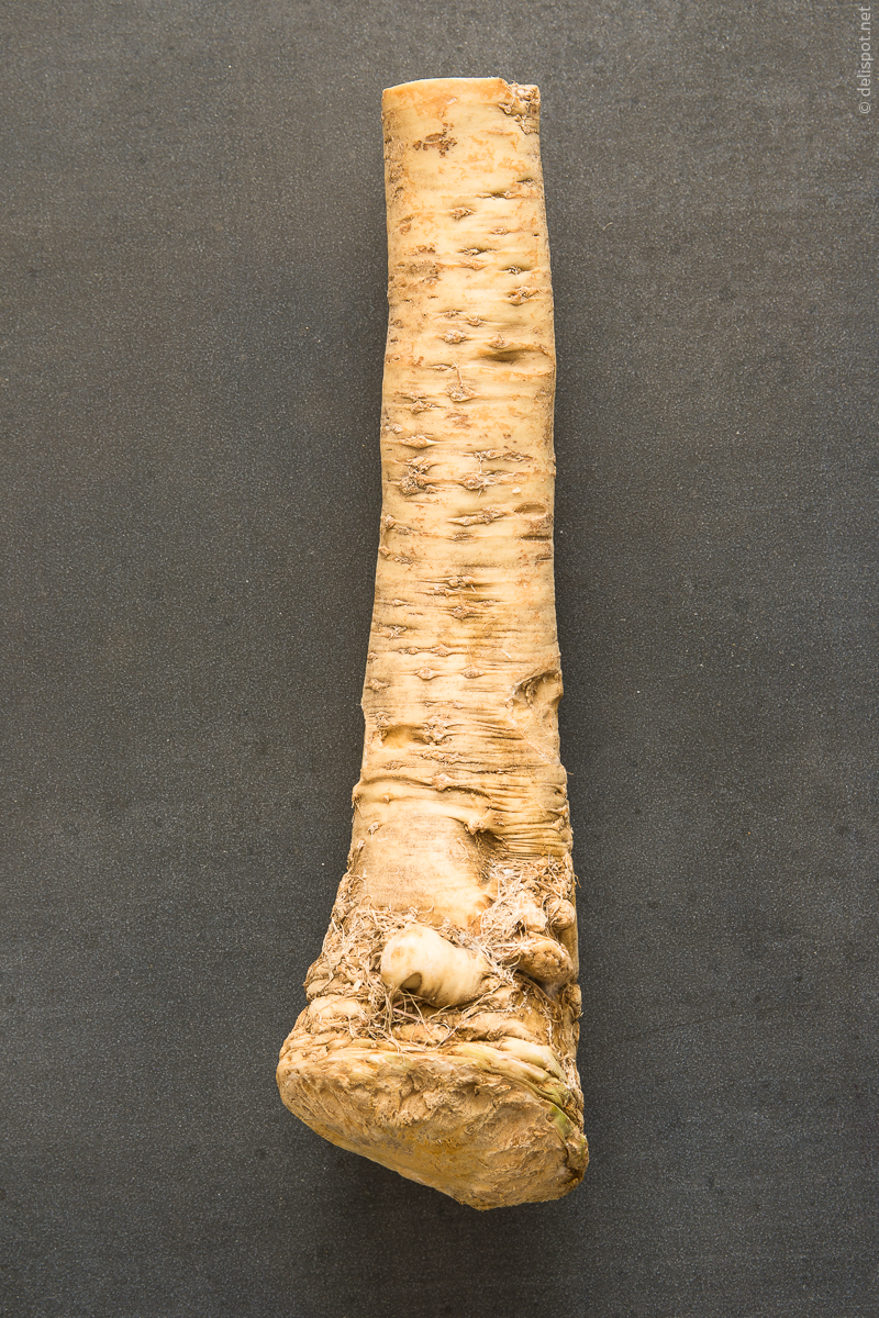 Meerettich (Kren) aus der Steiermark, Wurzel komplett