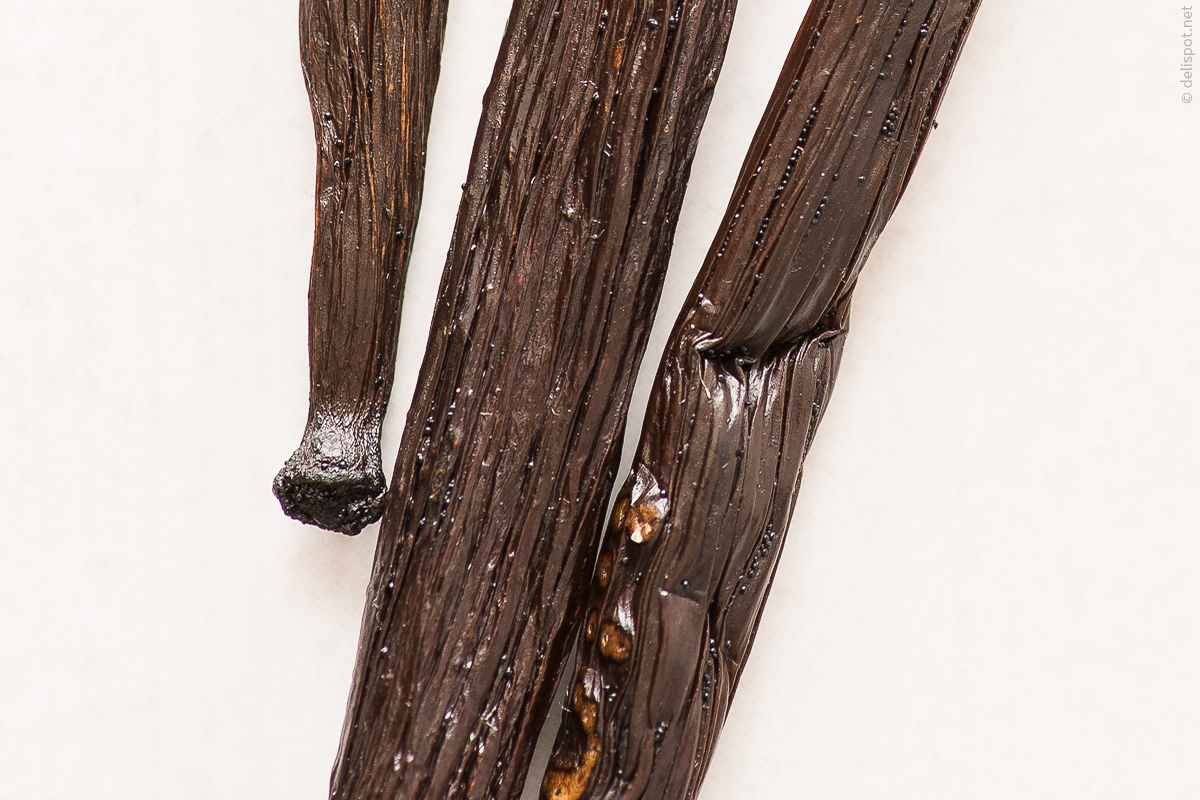 Bourbon-Vanille, Schoten im Detail