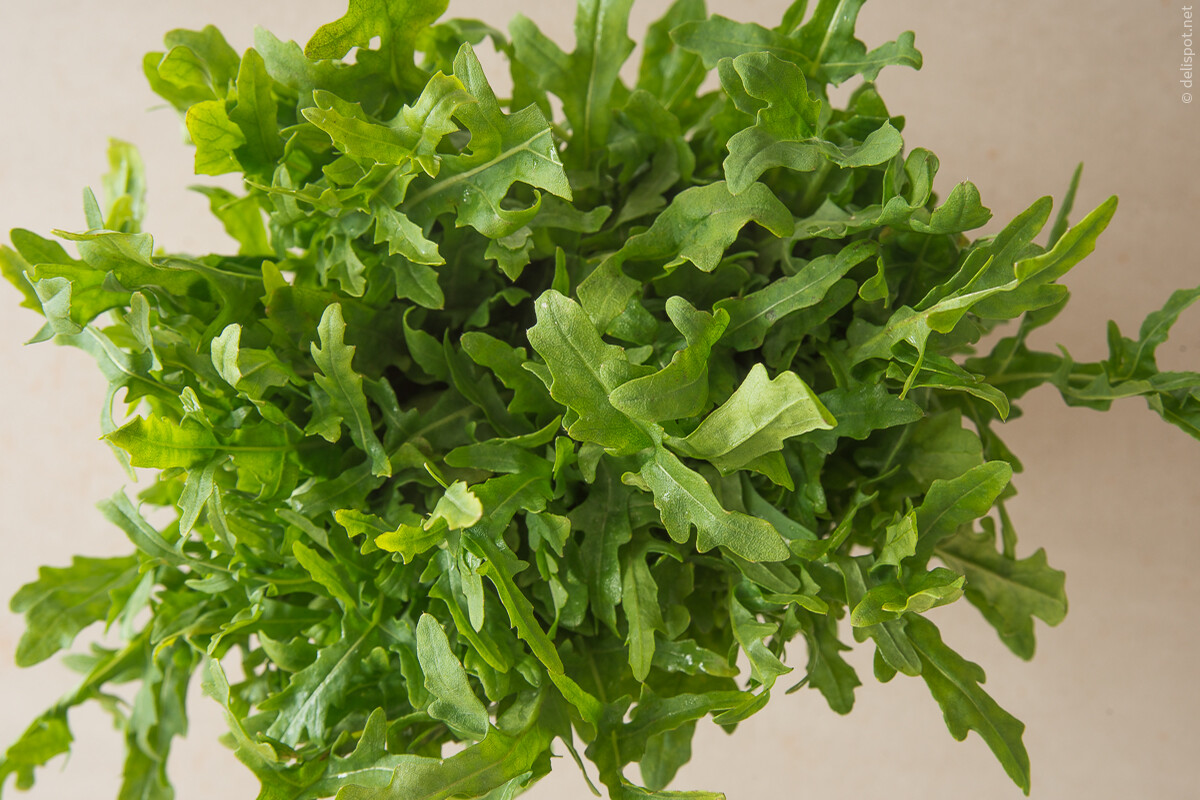 Bund Rucola bzw. Rauke (Diplotaxis tenuifolia)