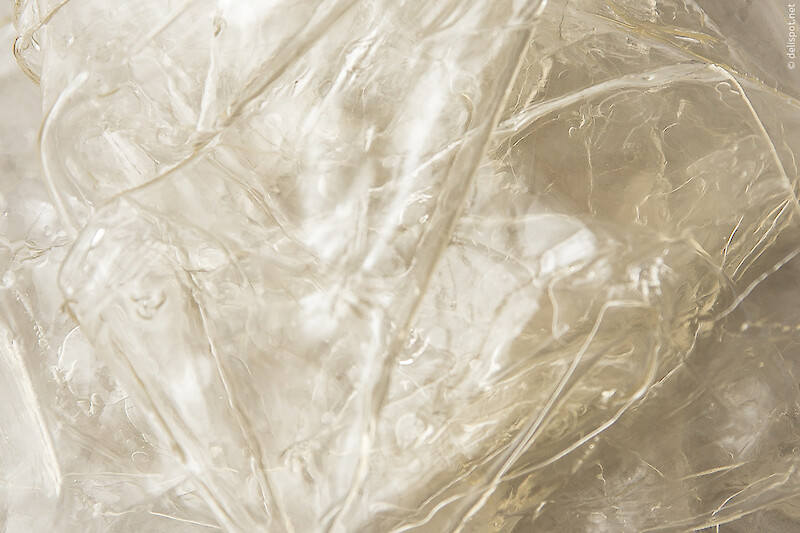 Eingeweichte Gelatineblätter im Detail