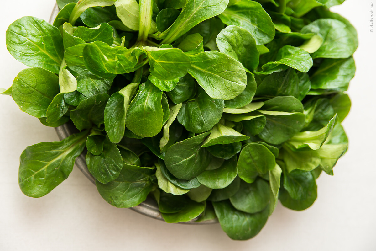 Feldsalat, auch Ackersalat, Rapunzel, Nüsslisalat und Vogerlsalat genannt