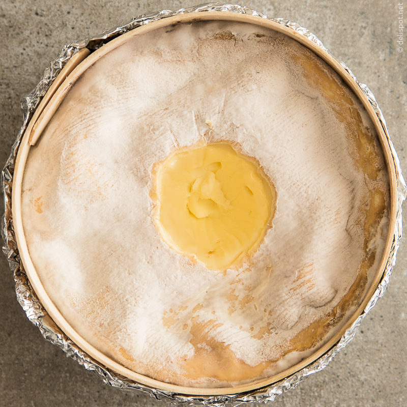 Vacherin Mont d’or aus Frankreich, mit Wein übergossen