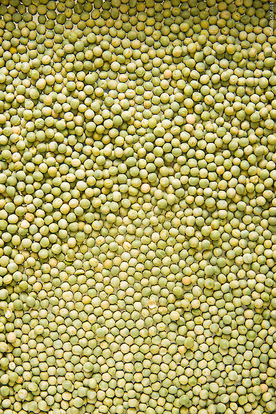 Trockenerbsen für Erbsensuppe, vor dem Einweichen