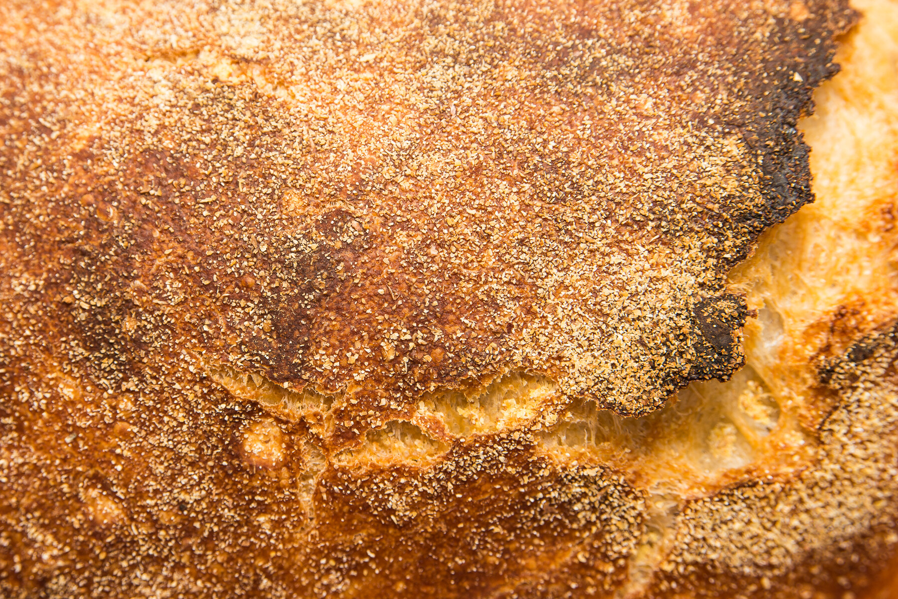 Brotkruste, frisch aus dem Ofen